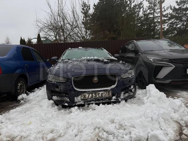 Jaguar