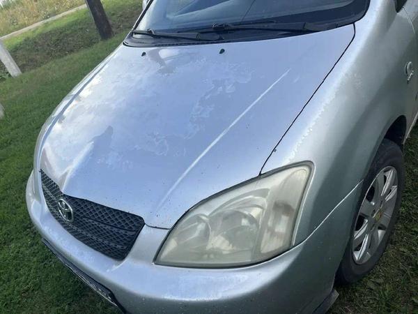 Toyota Corolla 2003, фото 12