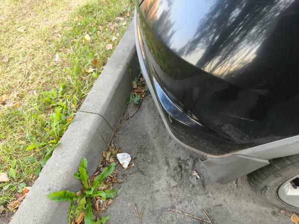Honda Civic 2008, фото 8