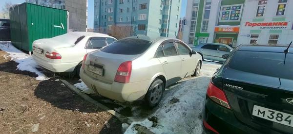 Nissan Primera 2003, фото 6