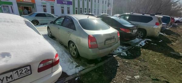 Nissan Primera 2003, фото 5