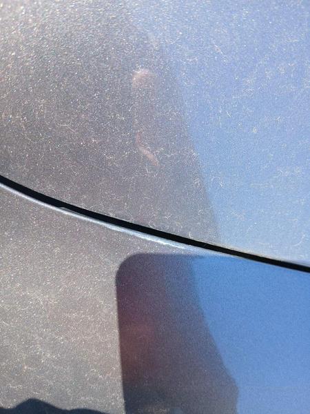 Nissan Juke 2012, фото 11