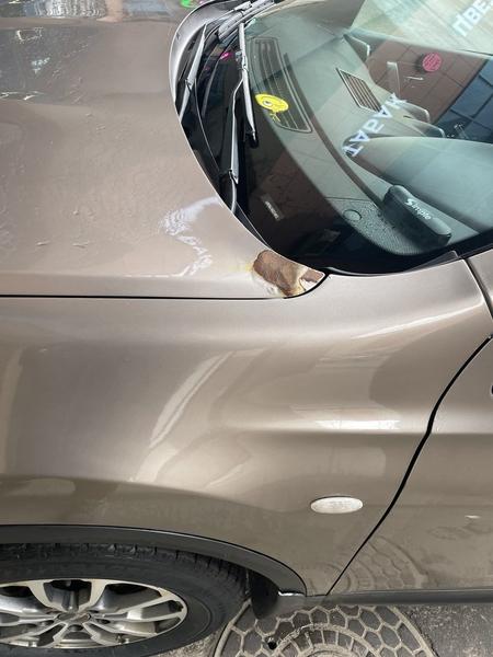Nissan Qashqai 2011, фото 17