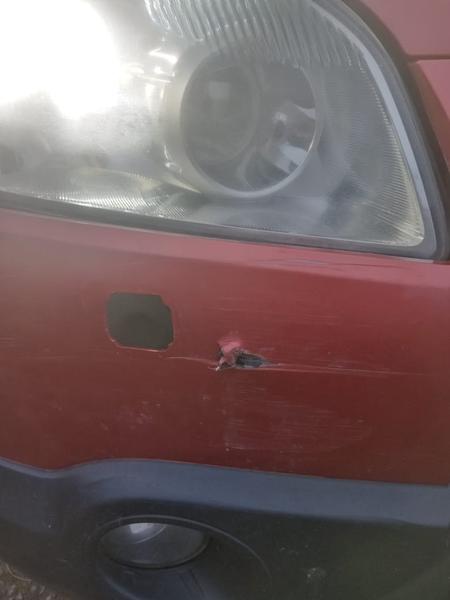 Nissan Qashqai+2 2007, фото 24