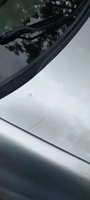 Renault Megane 2005 с торгов по банкротству, фото 1