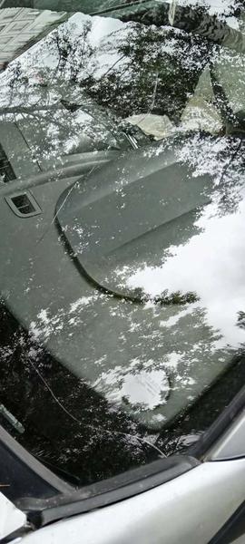 Renault Megane 2005, фото 4