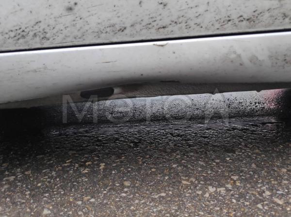 Renault Megane 2006, фото 18