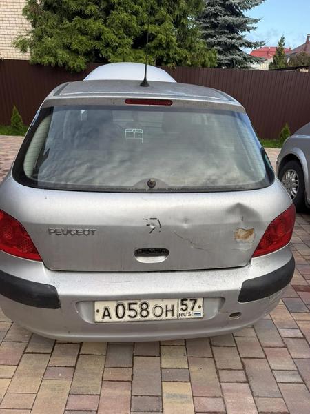 Peugeot 307 2006, фото 4