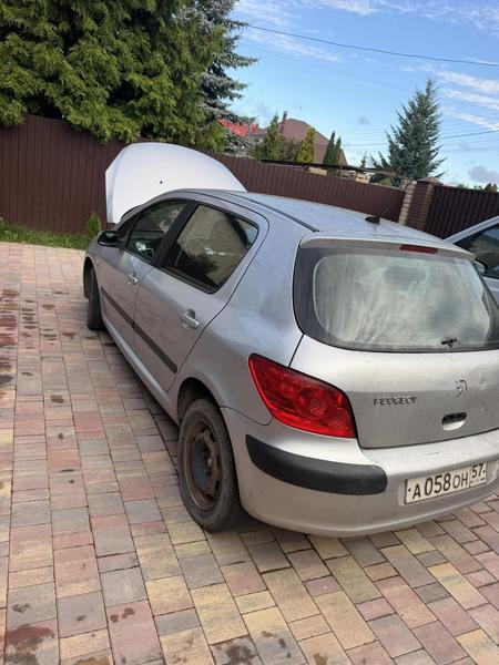 Peugeot 307 2006, фото 3