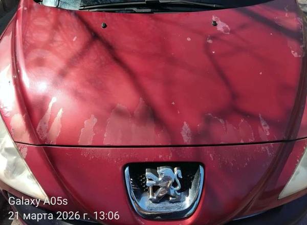 Peugeot 308 2008, фото 6