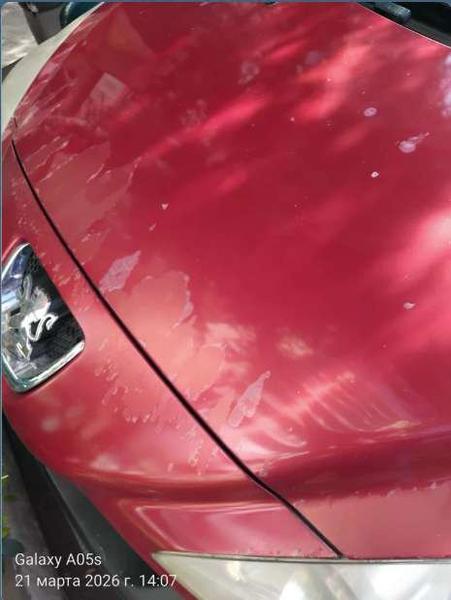 Peugeot 308 2008, фото 41