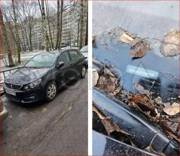 Peugeot 308 2018, фото 2
