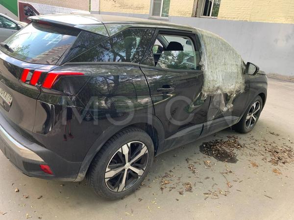 Peugeot 3008 2020, фото 6