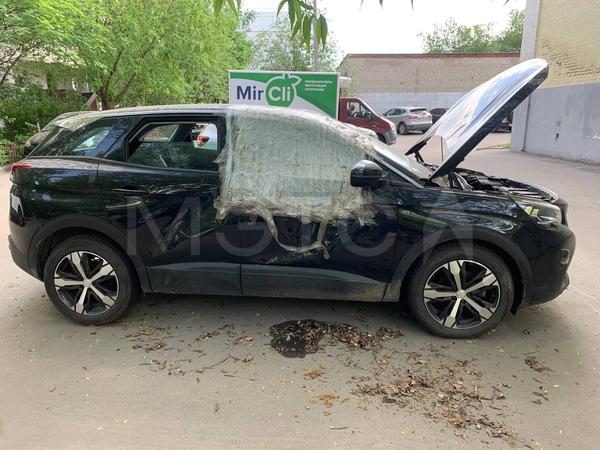 Peugeot 3008 2020, фото 4