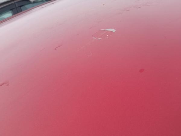 Citroen C4 2006, фото 6