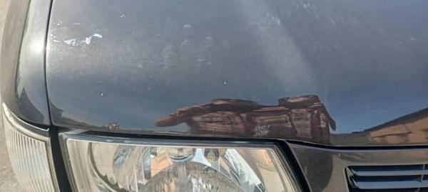 Opel Frontera 2003, фото 18