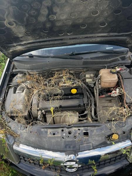 Opel Astra 2007, фото 6