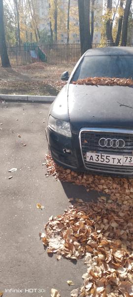 Фон