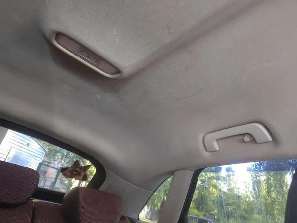 Audi Q3 2012, фото 16