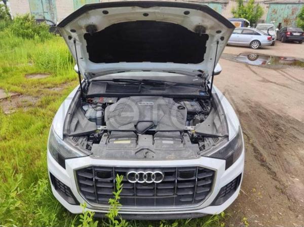 Audi Q8 2019, фото 6