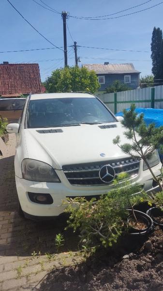 Mercedes-Benz ML320 2008, фото 5
