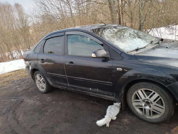 Ford Focus 2007, фото 9