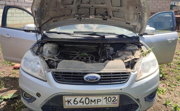 Ford Focus 2008, фото 5