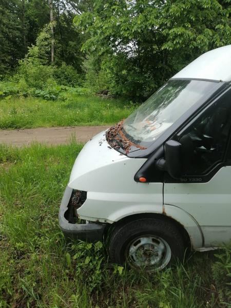 Ford Transit 2001, фото 5