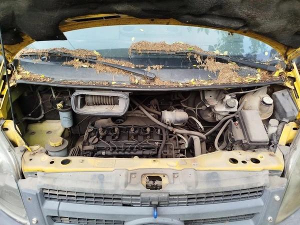 Ford Transit 2009, фото 16