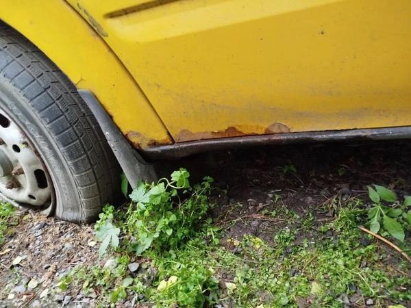 Ford Transit 2009, фото 7