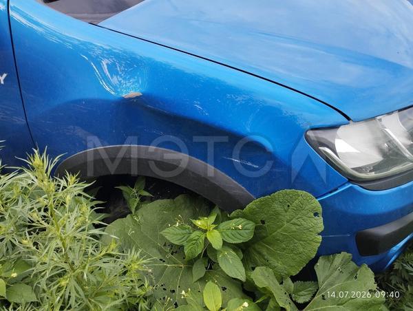 Renault Sandero 2017, фото 10
