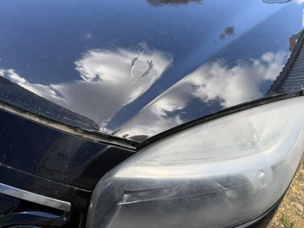 Renault Koleos 2014, фото 7
