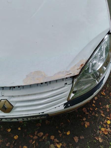 Renault Sandero 2011, фото 6