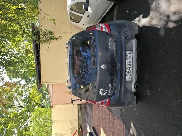 Renault Sandero 2013, фото 3