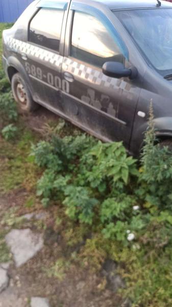 Renault Logan 2008, фото 19