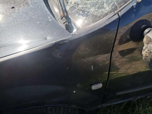 Renault Logan 2008, фото 20