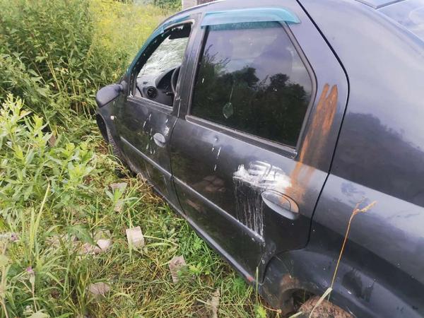 Renault Logan 2008, фото 12