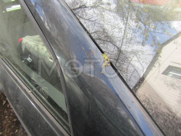 Renault Logan 2007, фото 17