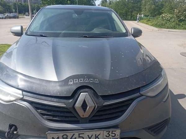 Renault Arkana 2021, фото 4