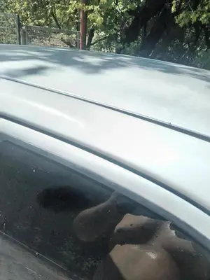 Hyundai Accent 2005 с торгов по банкротству, фото 1