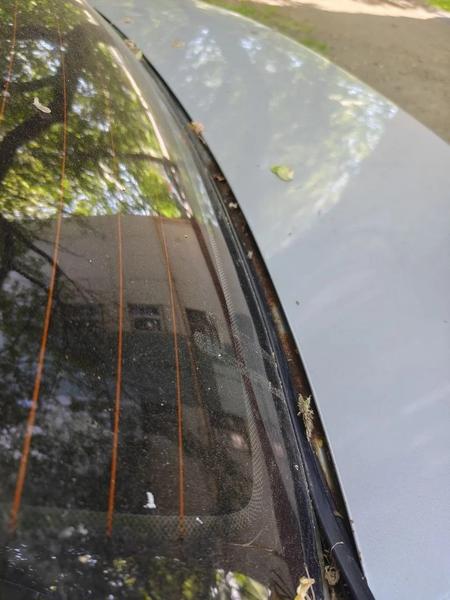 Hyundai Accent 2007, фото 6