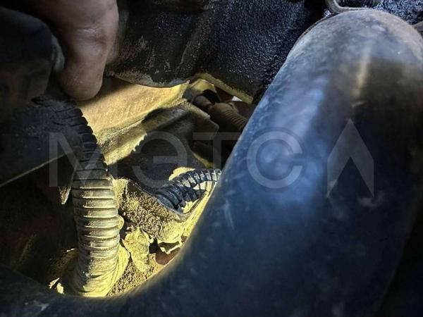 Hyundai Accent 2008, фото 5
