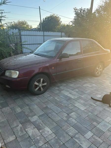 Hyundai Accent 2008, фото 3