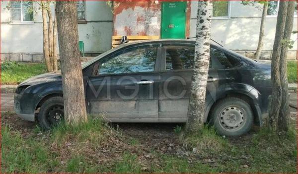 Ford Focus 2005, фото 3