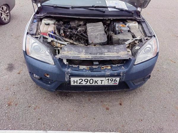 Ford Focus 2006, фото 17