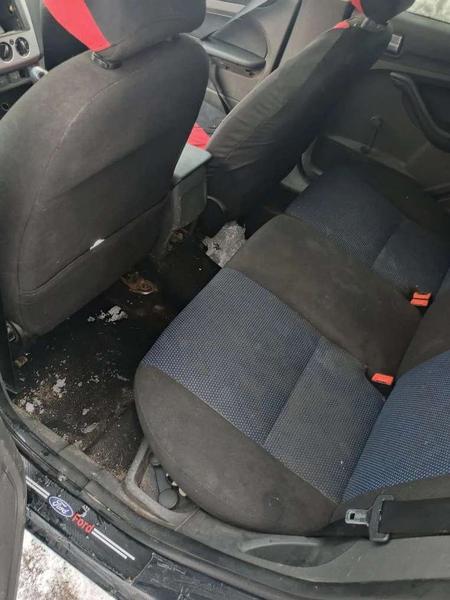 Ford Focus 2006, фото 23