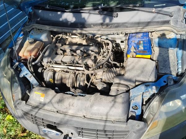 Ford Focus 2008, фото 3