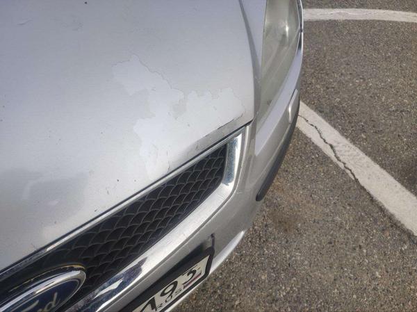 Ford Focus 2007, фото 13