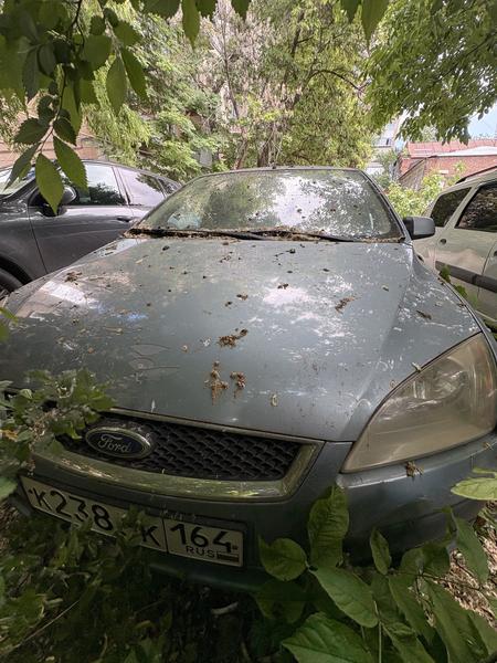 Ford Focus 2007, фото 3