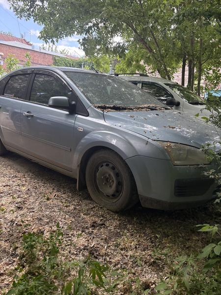 Ford Focus 2007, фото 2